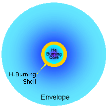 A cartoon of a star burning helium in its core and hydrogen in a shell