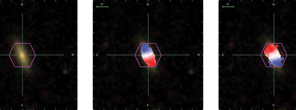 Black Holes Flip Galaxies
